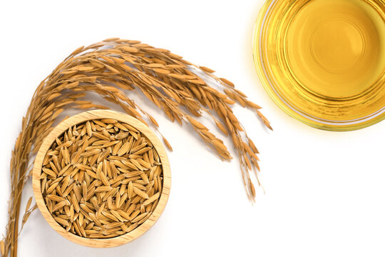 Rice bran oil extract with paddy unmilled rice on white background. 
