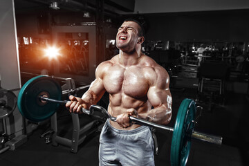 Fototapeta na wymiar Athlete muscular bodybuilder training biceps with barbell in the gym