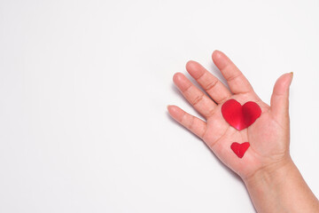 White background with rose petals in the shape of a heart on a hand.