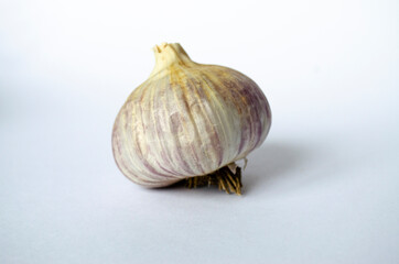 head of garlic close-up on a white background