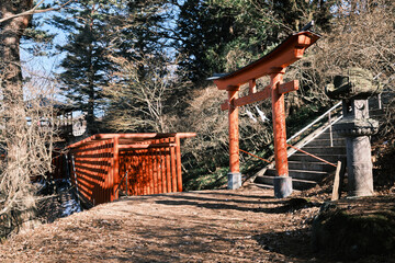 Fototapeta na wymiar 真っ赤な鳥居　日本の神社