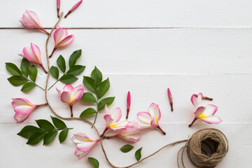 pink flowers frangipani floral of asia with rope decoration flat lay style on background white wooden