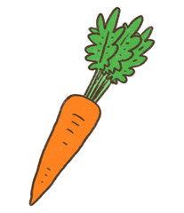 にんじん　人参　carrot