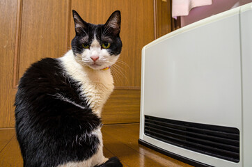 ガスファンヒーターの前で暖をとるネコ