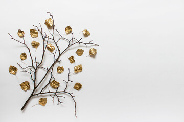 Autumn composition with dry branch and golden colored leaves on white background.