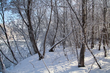 Frosted Magic, Gold Bar Park, Edmonton, Alberta