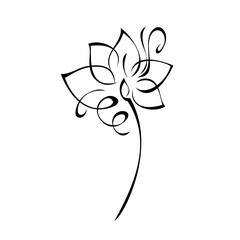 one stylized blooming flower on a short stalk without leaves in black lines on a white background