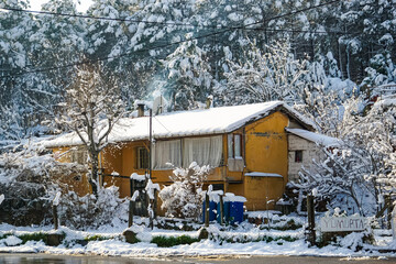 house in the forest