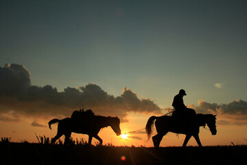 Fototapeta na wymiar horse on sunset