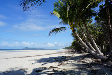 The white sands of the Isolated Chili Beach far north Queensland Australia