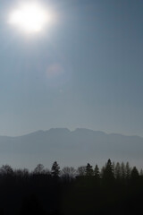 Mountain view from Poronin, Poland. A sunny and cold winter day in Podhale region. The silhouette of the mountains and a tree range. Selective focus on the flora, blurred background.