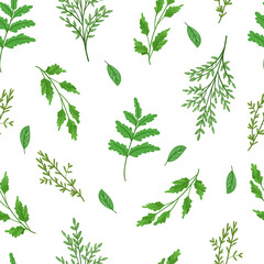Wild herbs seamless pattern. Cartoon green leaves,brunches,twig on white background. Vector hand drawn illustration.