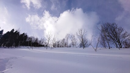 Sunny Winter Mountain 