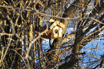 Old wooden birdhouse in the snow on a tree in the park among the snow-covered birches