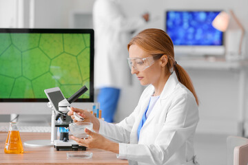 Female scientist working with sample in laboratory