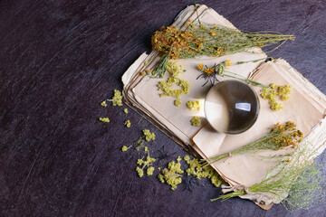 Crystal ball of fortune teller, herbs and old book on dark background