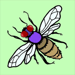 Fly. Flat color image. vector illustration