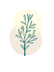 Plant drawing, modern design. Abstract Plant Art design for print, cover, wallpaper. Vector illustration