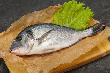 Raw Dorada fish  for cooking
