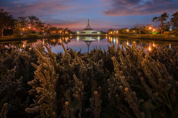 Field of winter flowers, Beautiful building with reflex on the lagoon againt twilight sky background in public park, Suanluang Rama 9, Thailand.