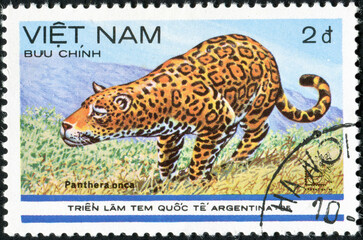 VIETNAM - CIRCA 1985: A stamp printed in Vietnam shows Panthera onca