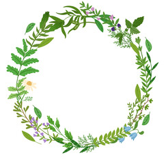 Wild herbs wreath. Cartoon leaves,brunches,flowers,twig on white background. Vector hand drawn illustration.