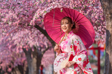 woman in yukata (kimono dress) holding umbrella and folding fan and looking sakura flower or cherry...
