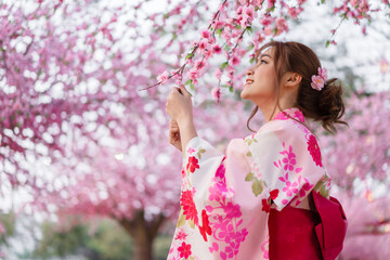 woman in yukata (kimono dress) looking sakura flower or cherry blossom blooming in garden