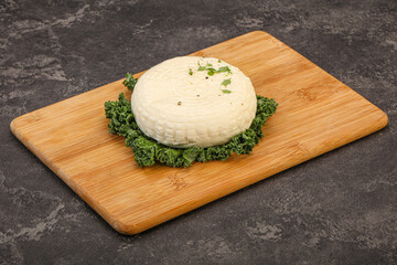 Caucasian suluguni round cheese piece
