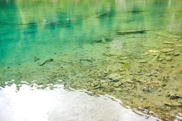 Klarer Bergsee mit Fischen