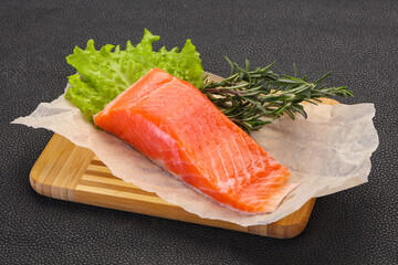 Piece of raw salmon