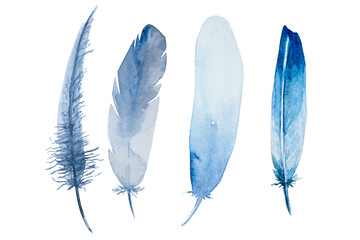 Set of watercolor blue feathers on white background. Bird's feather. Variegated feather. © O l g a