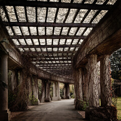 Columns entwined with wild grapes. Autumn