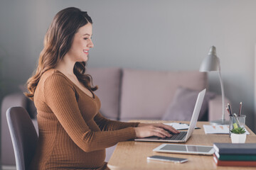 Photo portrait of pregnant woman typing on laptop sitting at desk in modern office