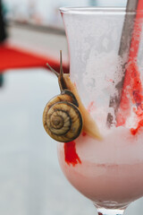 a snail crawls over a glass of cold milkshake
