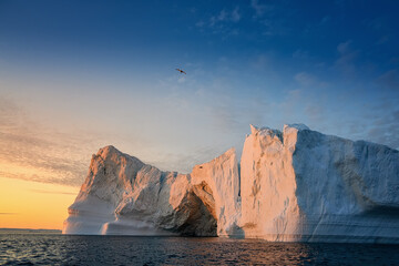 floating glaciers at fjord Disco Bay West Greenland with bird