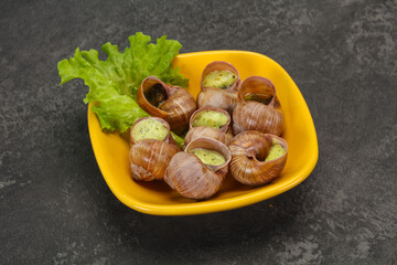 French cuisine - Escargot with sauce