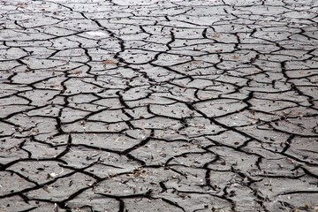 かいぼり　乾いた地面