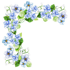 Blue forget me not spring flowers in bouquet for wedding. Decorative element for greeting card