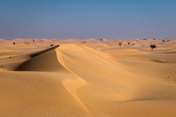 Fototapeta na wymiar Desert Landscape UAE