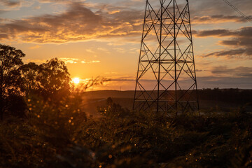 Morning glow