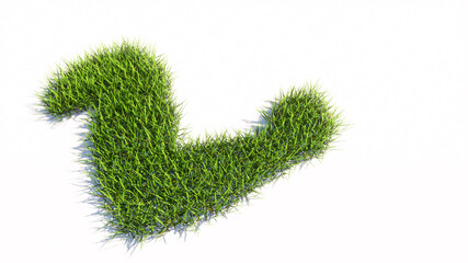 Concept or conceptual green summer lawn grass isolated on white background, sign of a healthy and muscular arm. A 3d illustration metaphor for bodybuilding, athlete, fitness, sport, strenght or power