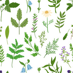 Wild herbs seamless pattern. Cartoon leaves,brunches,flowers,twig on white background. Vector hand drawn illustration.