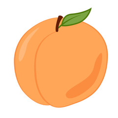 A whole peach with stem and leaf. Colored isolated object with outline on a white background. Cartoon.