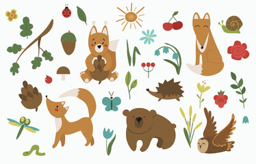 Set of cute wild forest animals (squirrel, hedgehog, fox, bear, owl), insects and different flowers, leaves, berries and branches