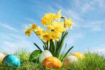 Narcissus flower with easter eggs in spring grass with sky