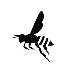 flying honey bee.