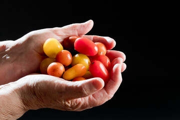 Fresh tomato in a hand, with black background, studio. Spain