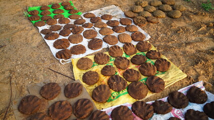 Dry Cow Dung Cakes for hawan kund . Dung cake on soil ground background. Dung cake for religious ceremony.