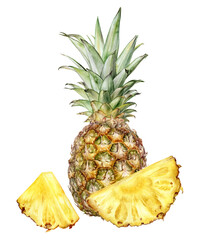 Pineapple watercolor illustration isolated on white background